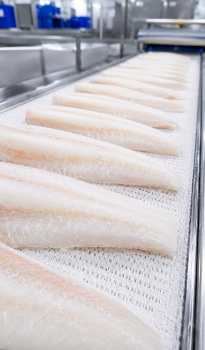 cod fillet